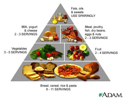 Baby Foods Chart on That S An Amazing Amount Of Food  That S Probably More Than I Eat In A
